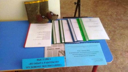 Окружной семинар-практикум «Труд как средство развития и саморазвития индивидуальности дошкольника»