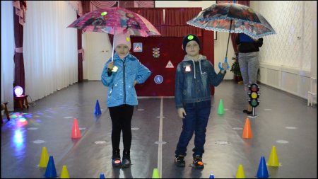 Проведение профилактического мероприятия «Единый день светлячка»