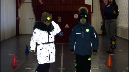 Проведение профилактического мероприятия «Единый день светлячка»