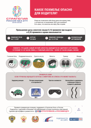 Дорожная безопасность