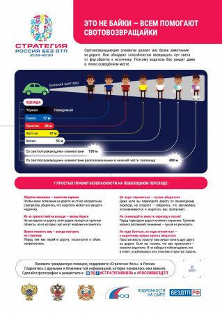 Дорожная безопасность